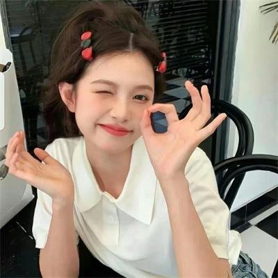 战鸽总动员